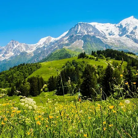 Bourgeon - Studio Pour 4 Personnes 94 아파트 *